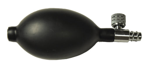 243508492.jpg