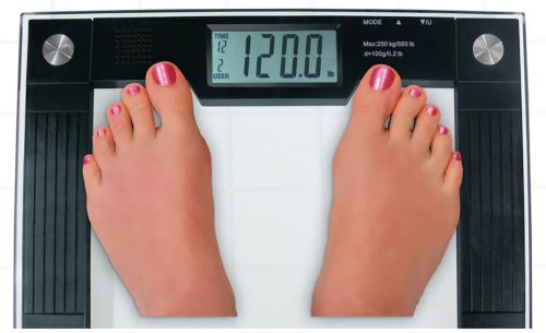 243840013.jpg