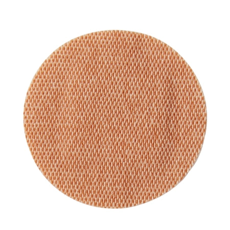 245567095.jpg