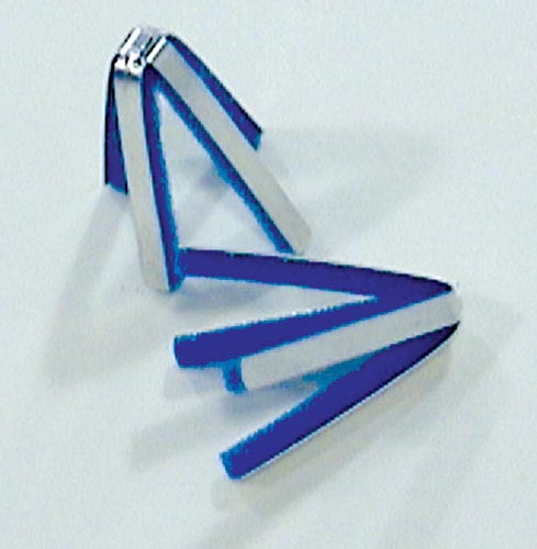 246197711.1757605835220.jpg